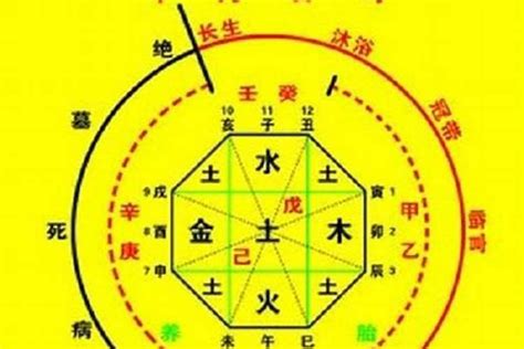 种植业五行属什么|八字论命：“五行”所属行业详细分类